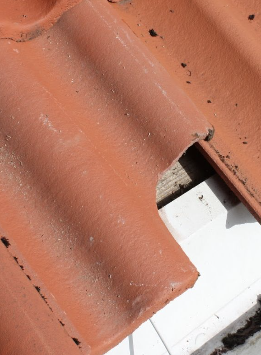 Skjermbilde 2026-02-03 kl. 12.26.35